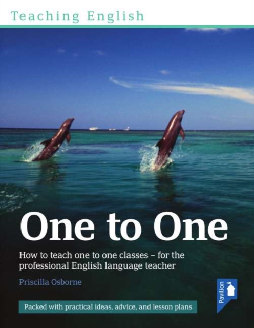 Teaching English One to One
