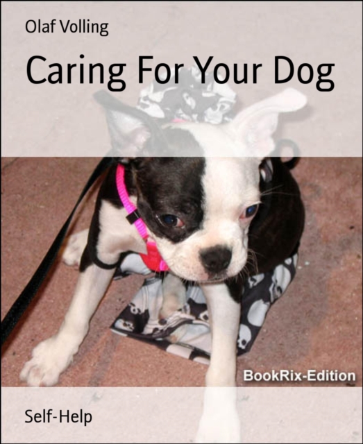 Caring For Your Dog