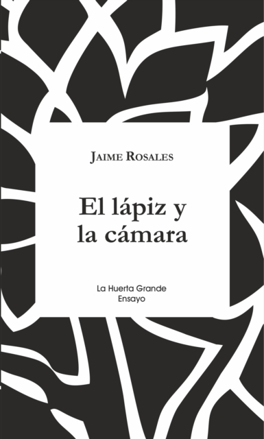 El lapiz y la camara