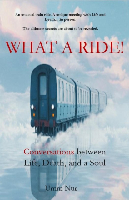 What A Ride! Conversations between Life, Death and a Soul