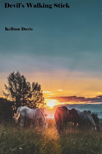 Devil's Walking Stick