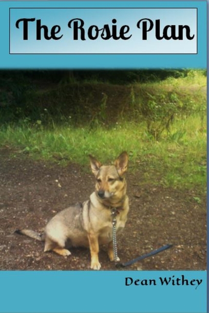 Rosie Plan