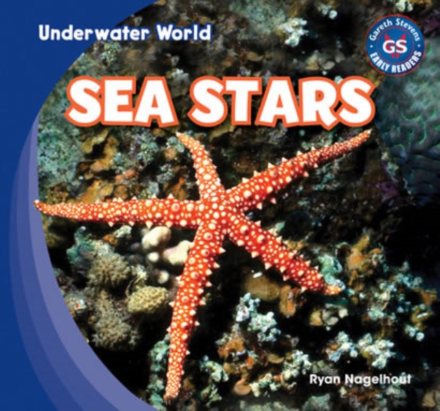 Sea Stars