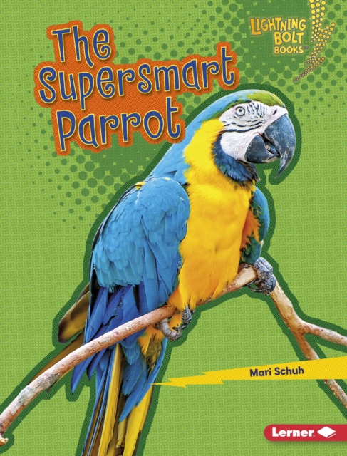 Supersmart Parrot