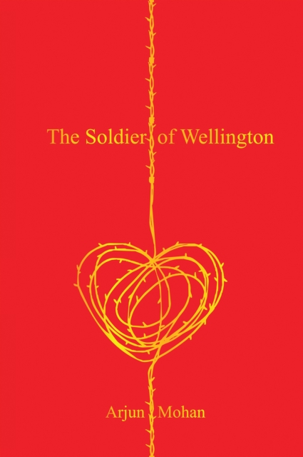 Soldier of Wellington