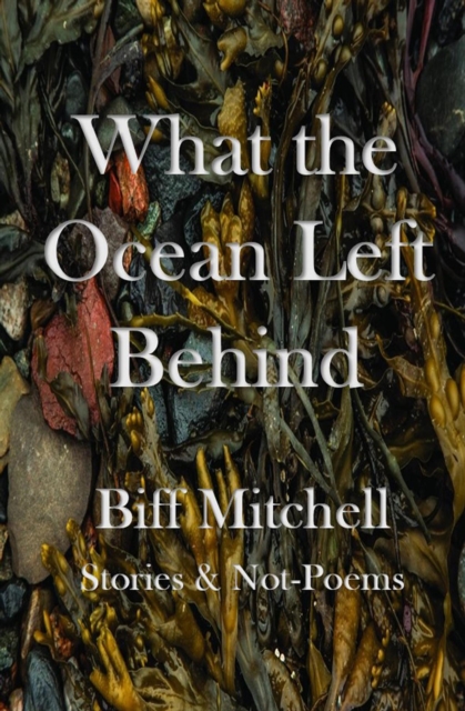 What the Ocean Left Behind