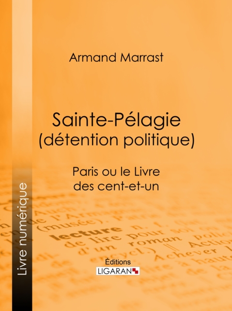 Sainte-Pélagie (détention politique)