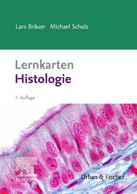 Lernkarten Histologie