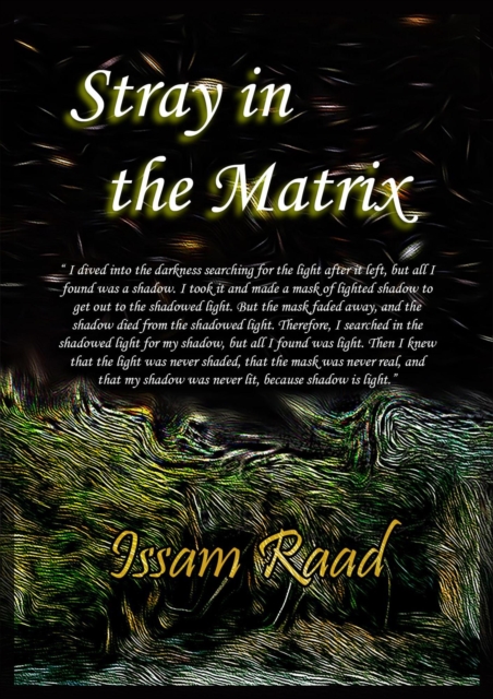 Stray in the Matrix