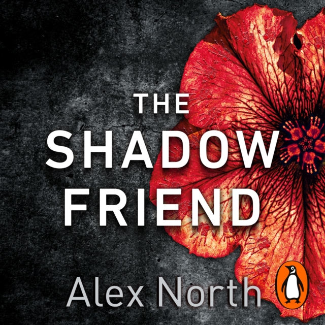 Shadow Friend