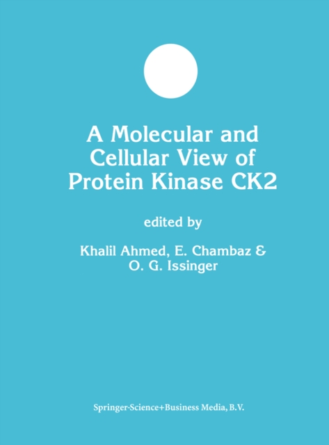 Molecular and Cellular View of Protein Kinase CK2