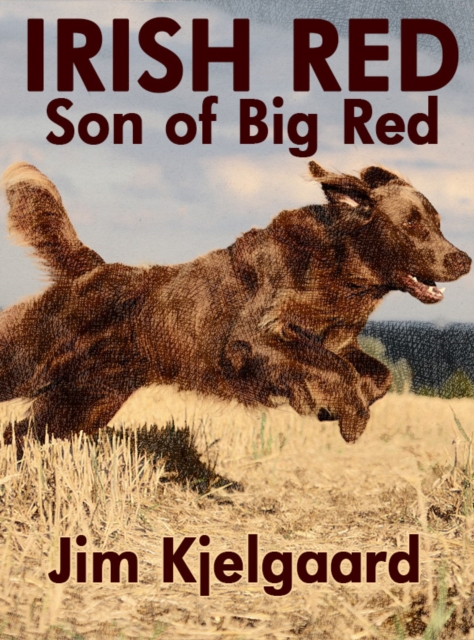 Irish Red, Son of Big Red