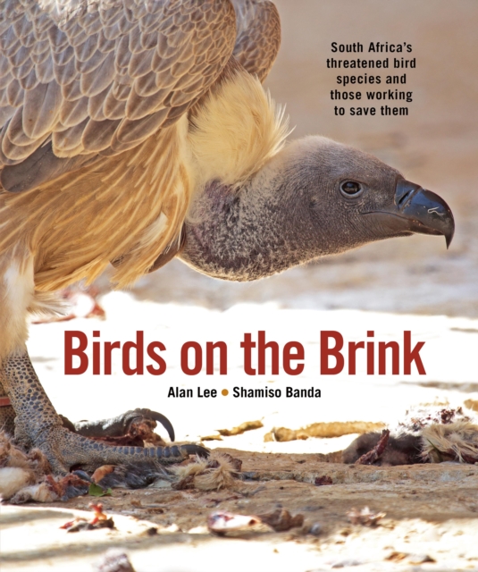 Birds on the Brink