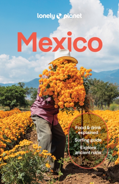Lonely Planet Mexico