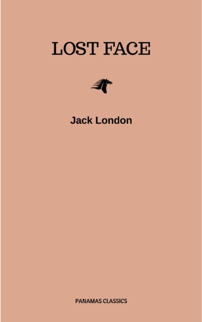 Lost Face