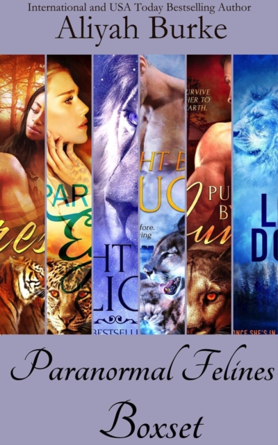 Paranormal Felines Boxset