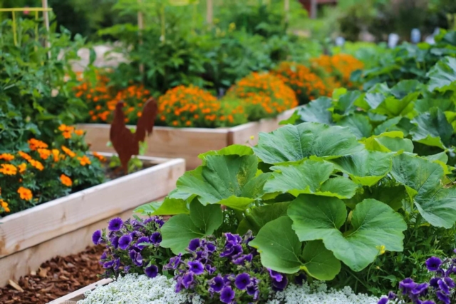 Complete Guide to Growing Vegetables in Small Spaces