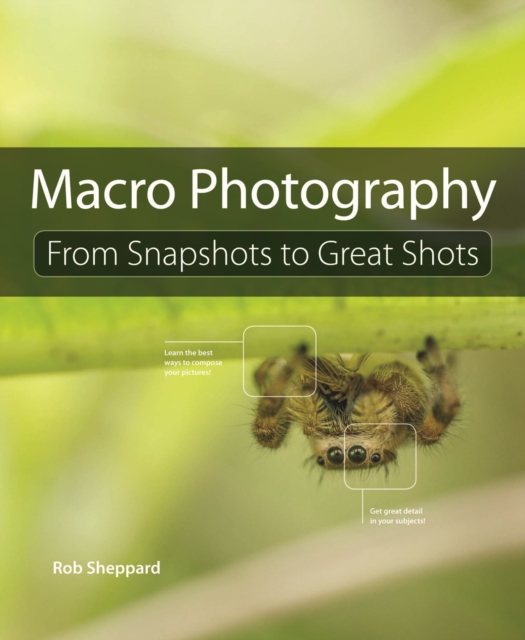 Macro Photography