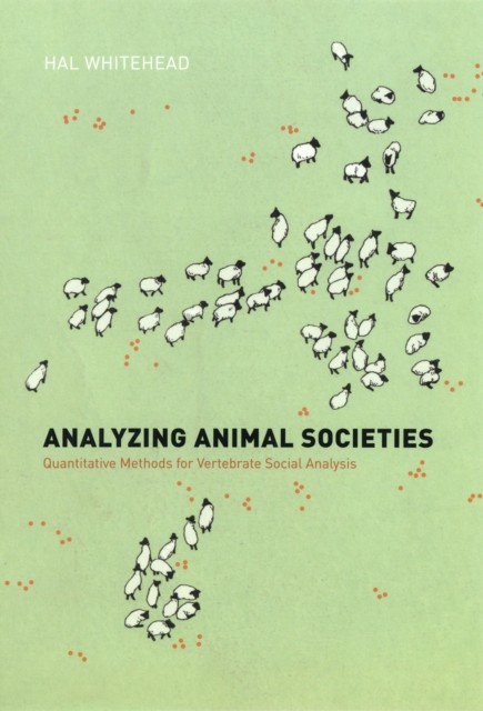 Analyzing Animal Societies