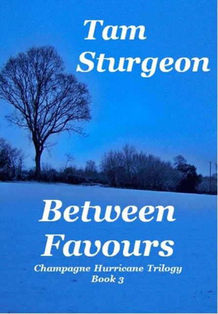 Between Favours - The Champagne Hurricane Trilogy - Book 3