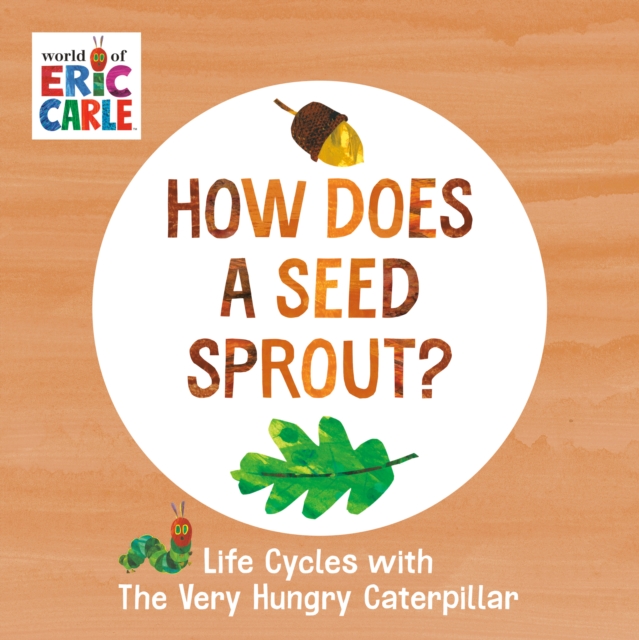 How Does a Seed Sprout?