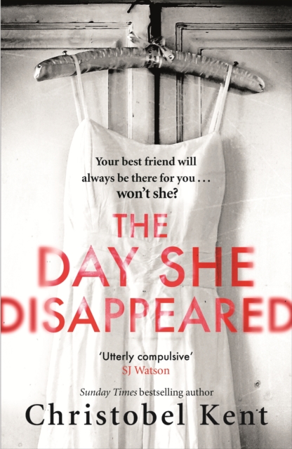 Day She Disappeared