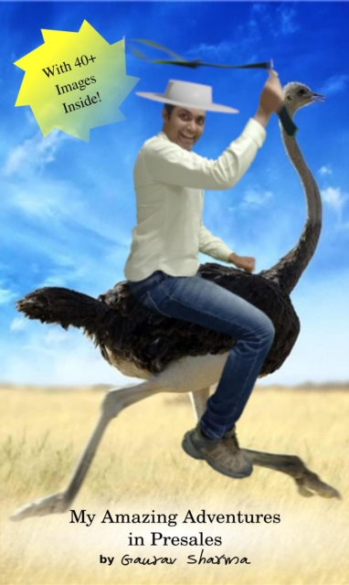 My Amazing Adventures in Presales