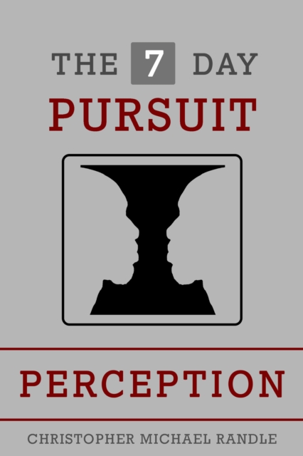 7 Day Pursuit: Perception
