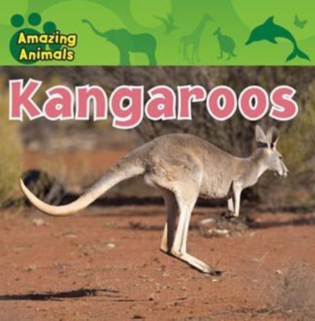 Kangaroos