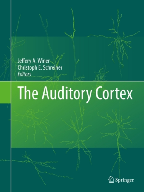 Auditory Cortex