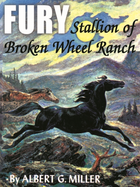 Fury: Stallion of Broken Wheel Ranch