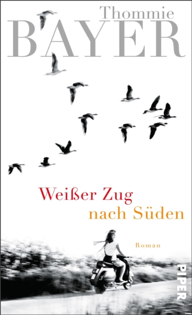 Weißer Zug nach Süden