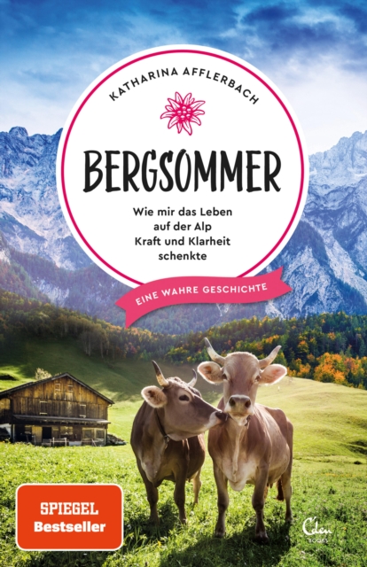 Per Anhalter durch den Nahen Osten