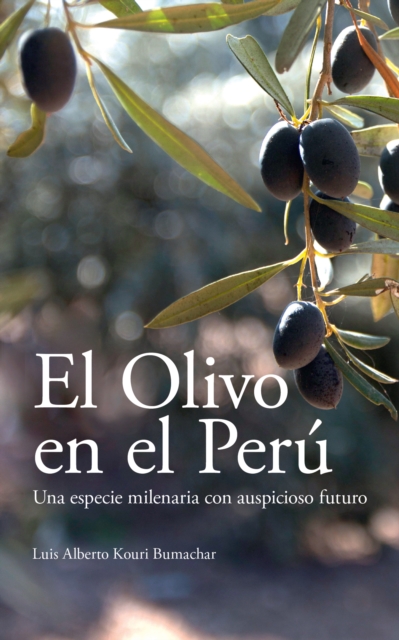 El Olivo en el Perú