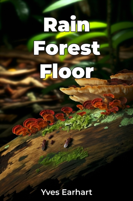 Rain Forest Floor