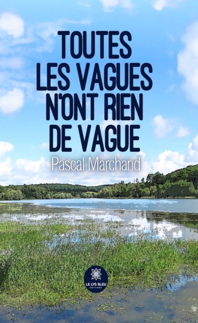 Toutes les vagues n'ont rien de vague