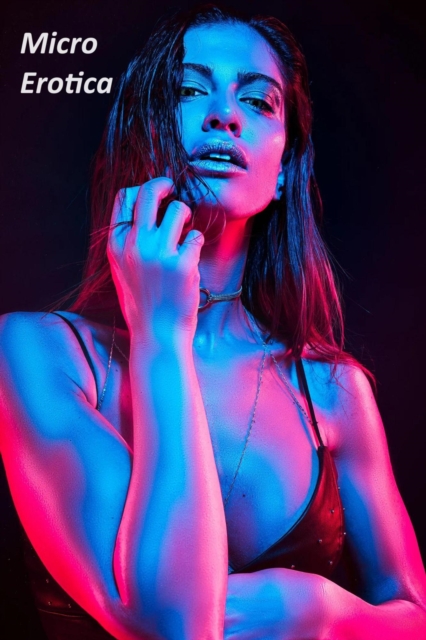 Micro Erotica