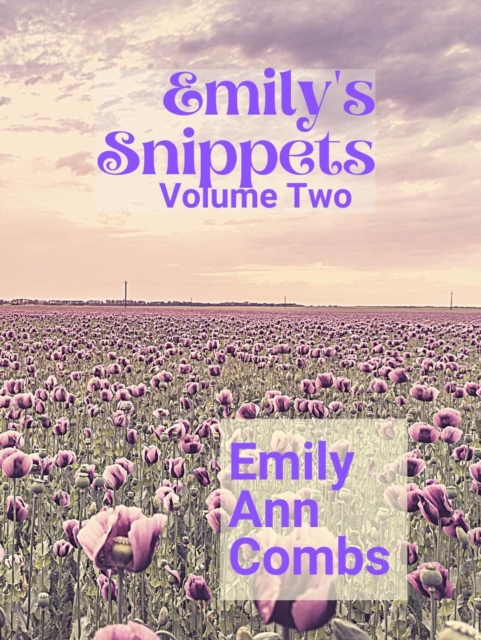 Emily's Snippets Volume Two
