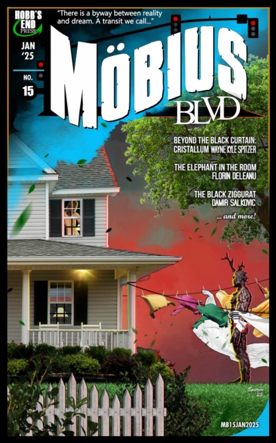Mobius Blvd: Stories from the Byway Between Reality and Dream No. 15 | January 2025