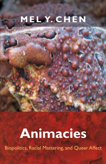 Animacies