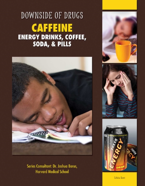 Methamphetamine & Other Amphetamines