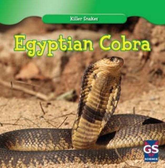 Egyptian Cobra