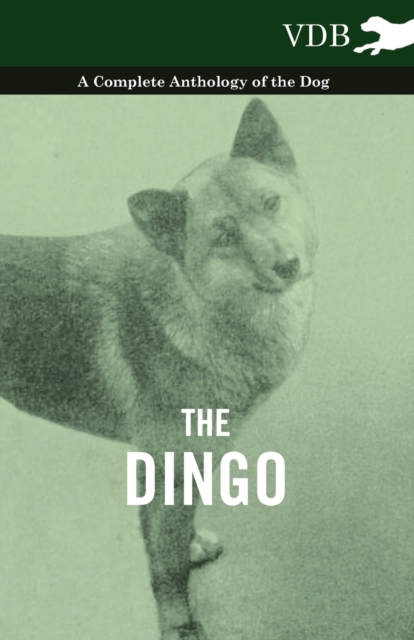 Dingo - A Complete Anthology of the Dog -