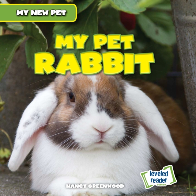 My Pet Rabbit