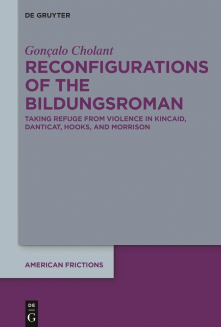 Reconfigurations of the Bildungsroman