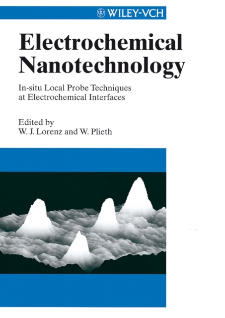 Electrochemical Nanotechnology