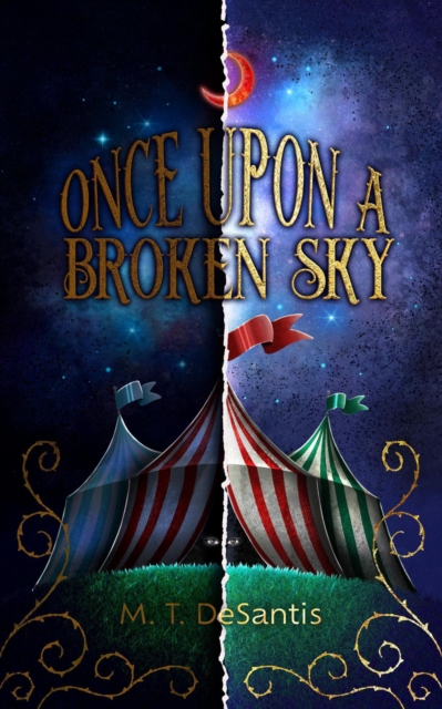 Once Upon a Broken Sky