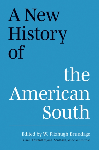New History of the American South