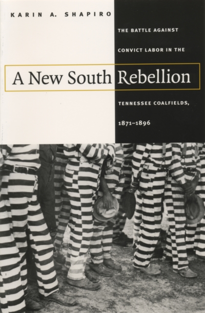 New South Rebellion