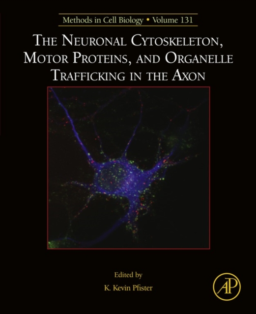 Neuronal Cytoskeleton, Motor Proteins, and Organelle Trafficking in the Axon